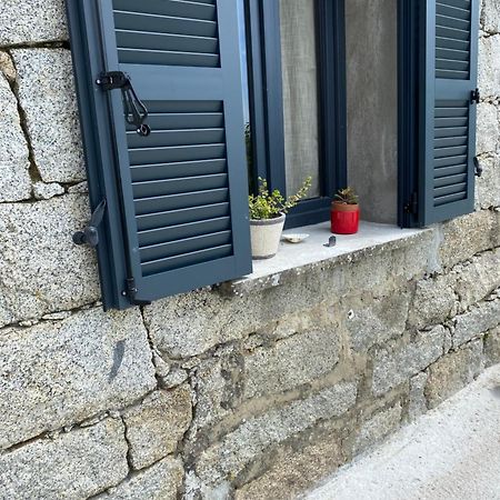 Tres Beau Studio Avec Terrasse Zonza Eksteriør bilde